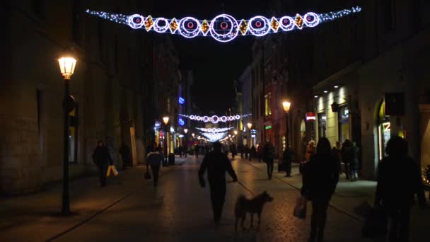 Florians Street in de oude binnenstad van Krakau — Stockvideo