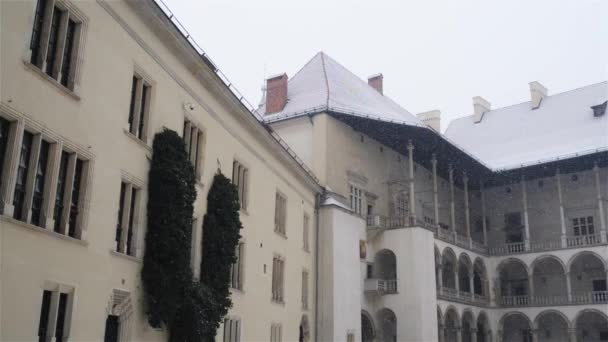 Arcadas de Segismundo I en el Castillo de Wawel, Cracovia — Vídeo de stock