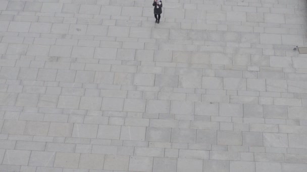 Vista aérea de los turistas caminando — Vídeos de Stock