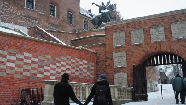 Wawel a orillas del río Vístula en Cracovia, Polonia — Vídeos de Stock