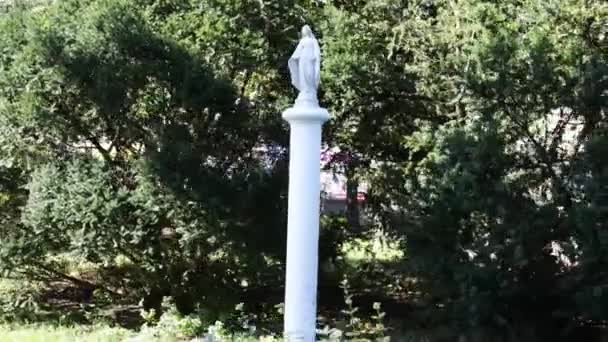 Statue de Notre-Dame près de l'église à Poznan, Pologne — Video