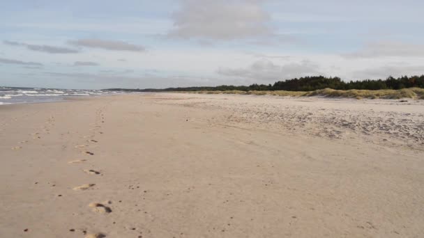 Δύο αδελφές περπάτημα κατά μήκος ακτή της Βαλτικής Θάλασσας — Αρχείο Βίντεο