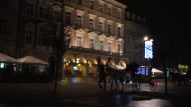 Krakow atları ile antrenörler