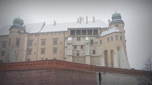 Зимний снег в Вавеле, Краков, Польша — стоковое видео