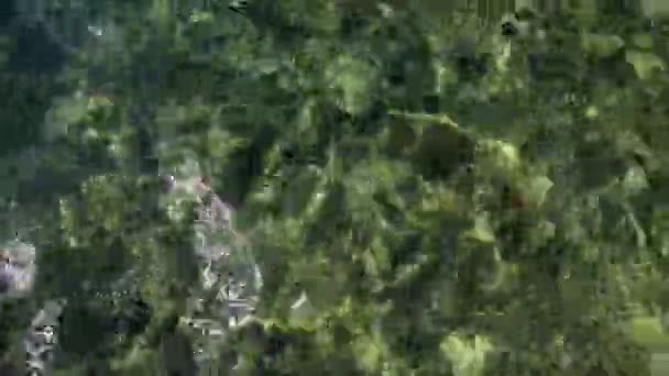 Petite fille flottant dans la mer 