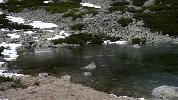 Lomnicky stit in hoge Tatra bergen van Slowakije — Stockvideo