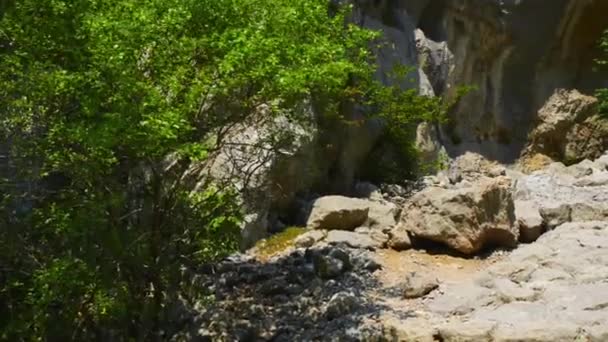 Velika Paklenica karst river canyon — Stock Video