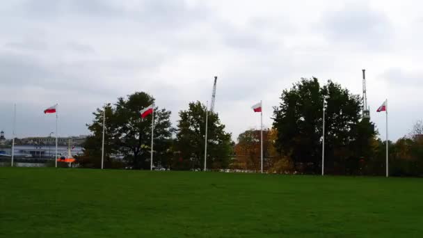 Westerplatte Denkmal polnischer Verteidiger — Stockvideo