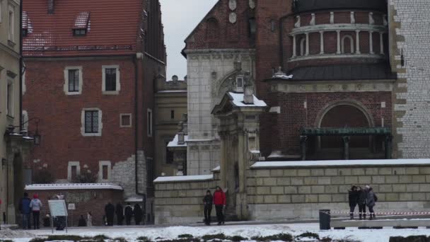 Wawel på Bank of Vistula River — Stockvideo