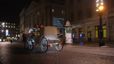 Krakow atları ile antrenörler