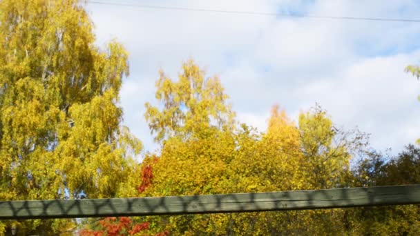 Kleines Mädchen mit Helm im Abenteuerpark — Stockvideo