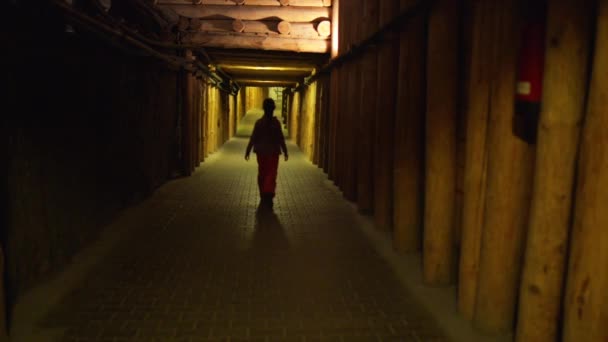 Wieliczka Salt Mine üzerinde Krakow küçük kız gider — Stok video