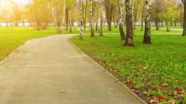Petite belle fille en manteau bleu chevauchant un vélo dans un parc de la ville printemps .