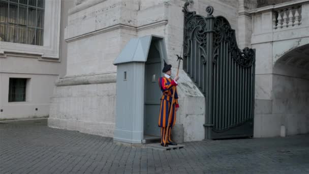 VATICAN CITY - 2016年1月24日:スイスガードがバチカンの聖ペテルス大聖堂に掲載されました。名前スイスガードは、一般的にローマのバチカンに駐留する教皇庁スイス衛兵を指します。. — ストック動画