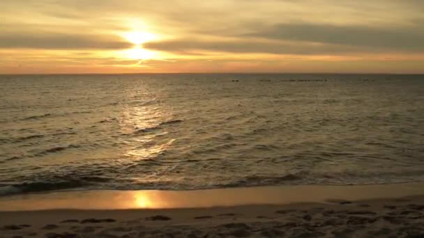 Mooi meisje loopt naar de Baltische zee bij zonsondergang. — Stockvideo