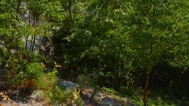 Paklenica karst river canyon är nationalpark i Kroatien. Det ligger i Starigrad, norra Dalmatien, på södra sluttningarna av berget Velebit, inte långt från Zadar. Velika Paklenica och Mala. — Stockvideo