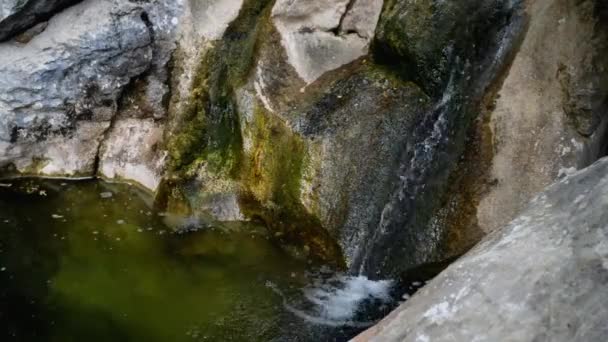 Paklenica karst river canyon is een nationaal park in Kroatië. Het is gelegen in Starigrad, Noord-Dalmatië, op de zuidelijke hellingen van de berg van de Velebit, niet ver van Zadar. Mala en Velika Paklenica. — Stockvideo