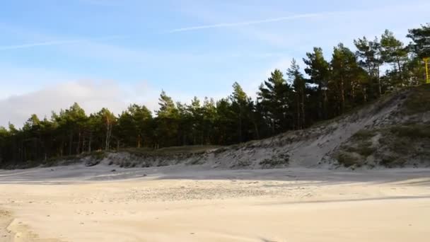 Weiße Sanddünen von Leba. Leba ist eine Stadt in der Woiwodschaft Pommern in Polen. Es befindet sich in der Region Danzig Pommern, in der Nähe des Lebsko-Sees und der Mündung des Flusses Leba an der Ostseeküste. — Stockvideo