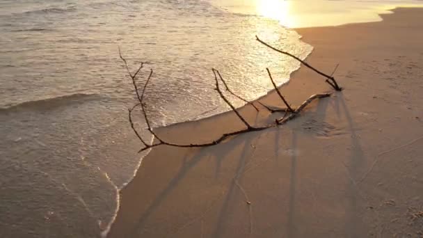 Západ slunce na pobřeží Baltského moře. Baltské moře (Ostsee) je moře Atlantského oceánu, ohraničená Skandinávii, Finsku, pobaltských zemí a Středoevropská nížina. — Stock video