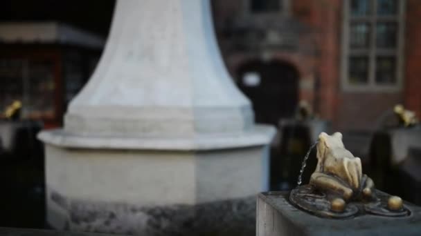 Monumento violinista a la Plaza del Ayuntamiento de Torun. Torun (Thorn) es una ciudad en el norte de Polonia, en el río Vístula . — Vídeos de Stock