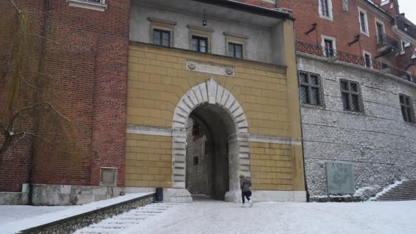 Wawel är en befäst arkitektoniskt komplex rest över många århundraden ovanpå en kalksten yttring på vänstra stranden av floden Vistula i Krakow i Polen, på en höjd av 228 meter över havet. — Stockvideo