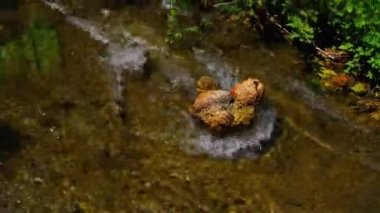 Milli Park Krka Hırvat Milli Parklar, nehir sonra onu içine alır Krka adında biri. Orta-alt ders orta Dalmaçya, Sibenik Knin County boyunca yer alır