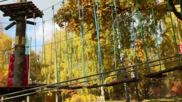 Dziewczyna wspinaczki w parku rozrywki to miejsce, które może zawierać szereg elementów, takich jak liny wspinaczkowe ćwiczenia, przeszkoda kursy i linii zip. — Wideo stockowe