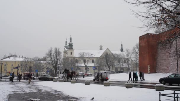 Wawel är en befäst arkitektoniskt komplex rest över många århundraden ovanpå en kalksten yttring på vänstra stranden av floden Vistula i Krakow i Polen, på en höjd av 228 meter över havet. — Stockvideo