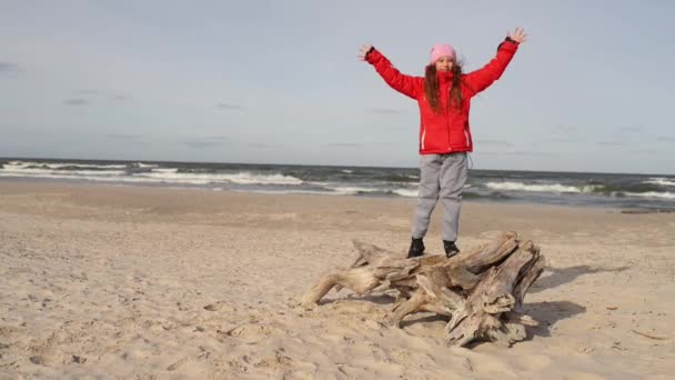 Küçük güzel gülümseyen kız kukuleta ile kırmızı ceketli dalgaların karaya attığı odun Baltık Denizi kıyısında duruyor ve mesafe içine bakıyor. — Stok video