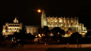 Della Palma Katedrali'ne