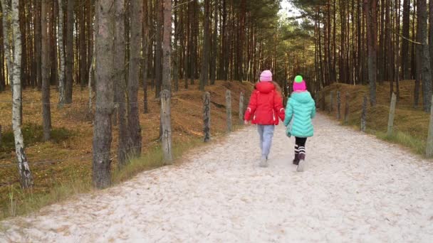 Δύο μικρότερες αδελφές περπάτημα σε φθινοπωρινή ημέρα κατά μήκος της ακτής της περιοχής της Βαλτικής Θάλασσας στο Leba, Πολωνία. — Αρχείο Βίντεο