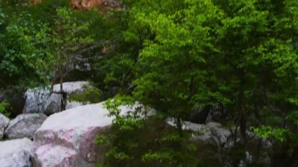 Kanion rzeki krasowy Paklenica jest park narodowy w Chorwacji. Znajduje się on w miejscowości Starigrad, w północnej Dalmacji, na południowym stoku górskiego Velebit niedaleko Zadaru. Velika Paklenica i Mala. — Wideo stockowe