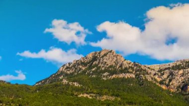Port de Soller'deki Soller tramvayı. Port de Soller, İspanya'nın Balear Adaları'nda yer alan bir köy ve Mallorca'da şehir limanıdır. Soller'deki Biniaraix köyü ve Biniaraix köyü ile birlikte.