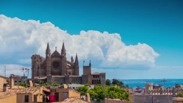 Panorama of Palma de Mallorca. — Stock Video