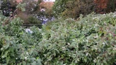 Bydgoszcz Bölge Mahkemesi. Bydgoszcz (Bromberg'de, Bydgostia) Kuzey Polonya, Brda ve Vistula nehirleri üzerinde yer alan şehridir. Kuyavian-Pomeranian Voyvodalığı, Bydgoszcz ilçe merkezi oldu.