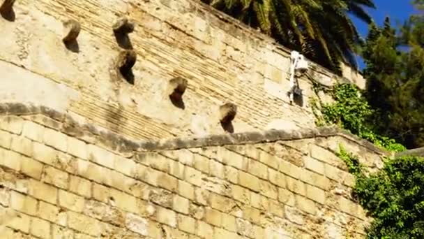 ラ アルムダイナのロイヤル パレスの近くの池で白鳥は、パルマ、マヨルカ島、スペインの首都のアルカサル (要塞宮殿) です。アラビアの砦として構築されて. — ストック動画