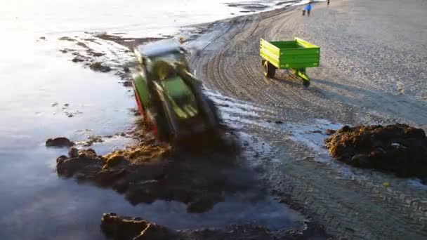 Sopot, Lengyelország - október 24 2015-ig: A traktor Sopot eltávolítja moszatok és törmelék a a Balti-tenger körül a mólón. Sopot (Zoppot) egy tengerparti város Észak-Lengyelországban Kelet-Pomeránia. — Stock videók