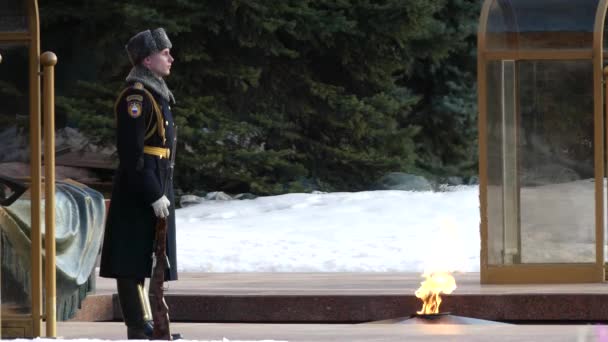 MOSCÚ, RUSIA - 10 DE MARTE DE 2016: llama eterna en la tumba del soldado desconocido en el jardín Alexander para honrar a los muertos de la Gran Guerra Patria — Vídeos de Stock