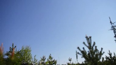 Tatra Dağları, Tatras veya Tatra, Slovakya ve Polonya arasında doğal bir sınır oluşturan dağ aralığı vardır.