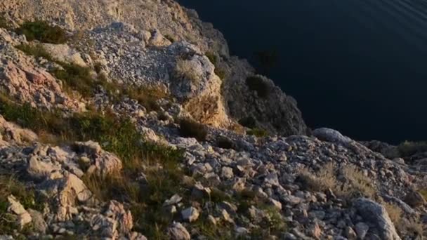 Die Maslenica-Brücke ist eine 377,6 m lange Bogenbrücke aus Stahlbeton, die die Meerenge von Maslenica nördlich von Zadar, Kroatien, überspannt und die kroatische Autobahn A1 führt.. — Stockvideo