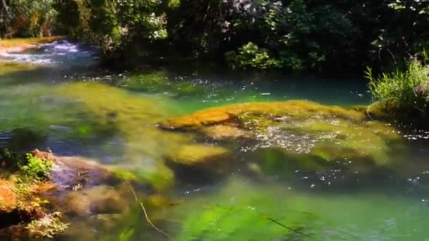 Milli Park Krka Hırvat Milli Parklar, nehir sonra onu içine alır Krka adında biri. Orta-alt ders orta Dalmaçya, Sibenik Knin County boyunca yer alır — Stok video