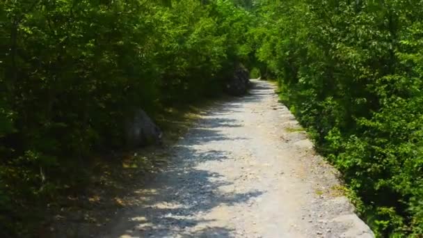 Paklenica karst river canyon is een nationaal park in Kroatië. Het is gelegen in Starigrad, Noord-Dalmatië, op de zuidelijke hellingen van de berg van de Velebit, niet ver van Zadar. Mala en Velika Paklenica. — Stockvideo