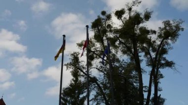 Üç bayrak: Avrupa Birliği, Almanya ve Polonya bayrak direkleri üzerinde mavi gökyüzüne karşı.