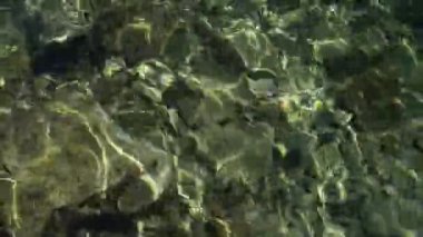 Adriyatik Denizi'nde İtalya kıyılarında sığ sularda çakıl çakıl.