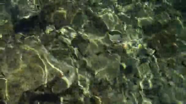 The pebble in the shallow waters off the coast of Italy on the Adriatic Sea. — Stock Video