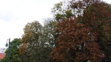 Bydgoszcz Bölge Mahkemesi. Bydgoszcz (Bromberg'de, Bydgostia) Kuzey Polonya, Brda ve Vistula nehirleri üzerinde yer alan şehridir. Kuyavian-Pomeranian Voyvodalığı, Bydgoszcz ilçe merkezi oldu.