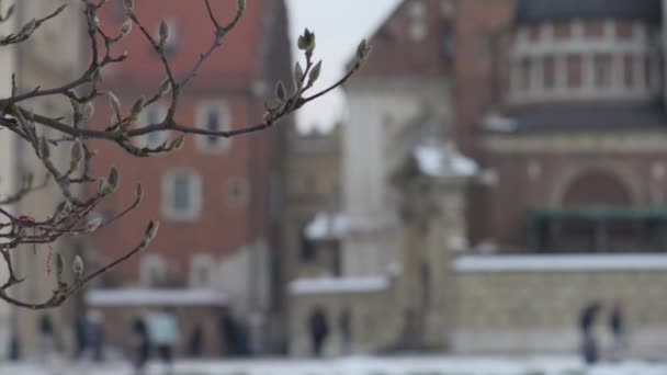 Wawel je opevněné architektonický komplex postavený na levém břehu řeky Visly v Krakově, Polsko. Se královský hrad Wawel, katedrála, (což je bazilika St Stanislaw a St Waclaw). — Stock video