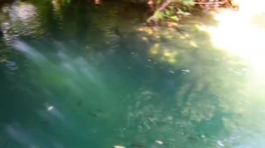 Milli Park Krka Hırvat Milli Parklar, nehir sonra onu içine alır Krka adında biri. Orta-alt ders orta Dalmaçya, Sibenik Knin County boyunca yer alır