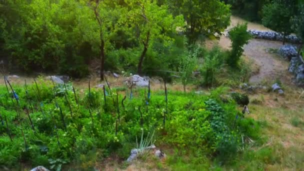 Paklenica karst river canyon es un parque nacional en Croacia. Se encuentra en Starigrad, al norte de Dalmacia, en las laderas meridionales de la montaña Velebit, no muy lejos de Zadar. Mala y Velika Paklenica . — Vídeo de stock