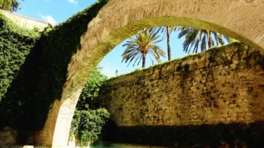 Royal Palace of La Almudaina yakınındaki bir havuzda kuğular Alcazar (müstahkem Sarayı) Palma, Mayorka Adası, İspanya'nın başkenti olduğunu. Arap bir kale inşa sahip.